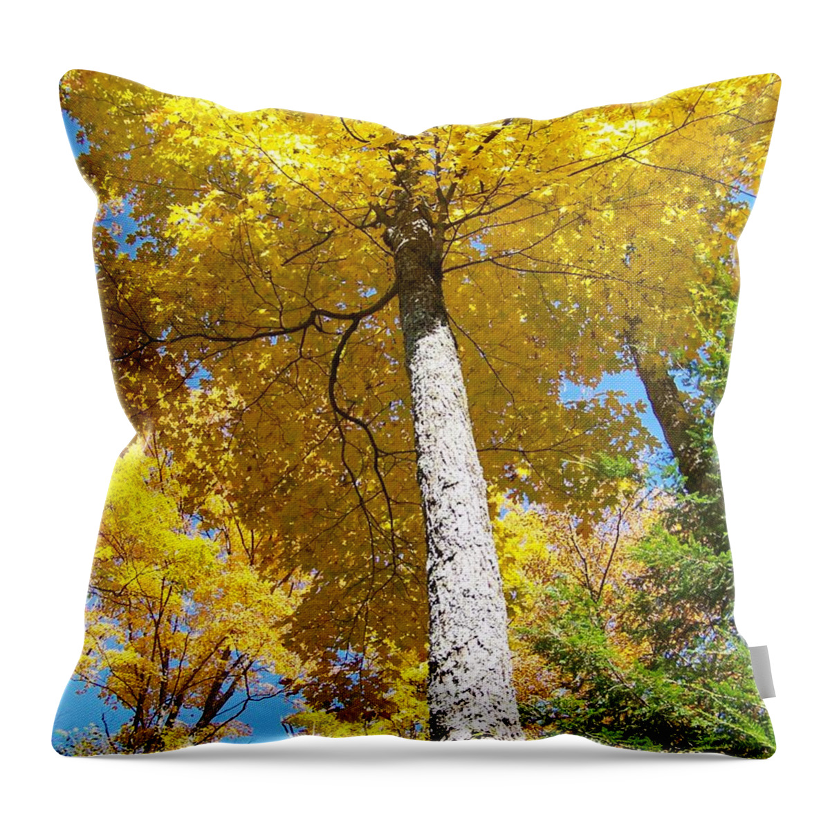 Autumn Throw Pillow featuring the photograph The Yellow Umbrella - Photograph by Jackie Mueller-Jones