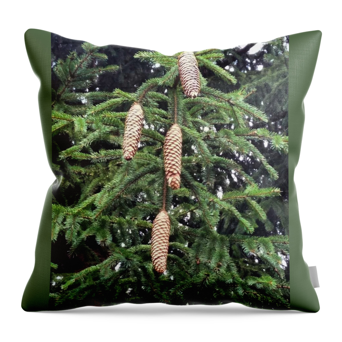 Pinecone Throw Pillow featuring the photograph Then There Were Four by Vic Ritchey