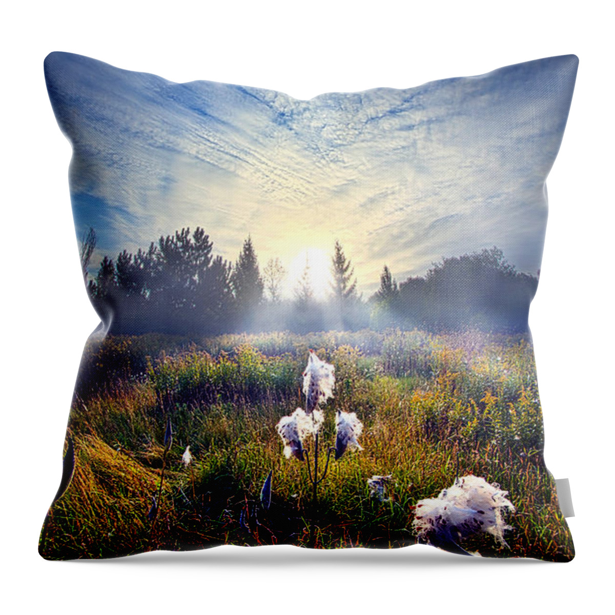 Milkweed Throw Pillow featuring the photograph There are Times I Fear I Lose Myself by Phil Koch