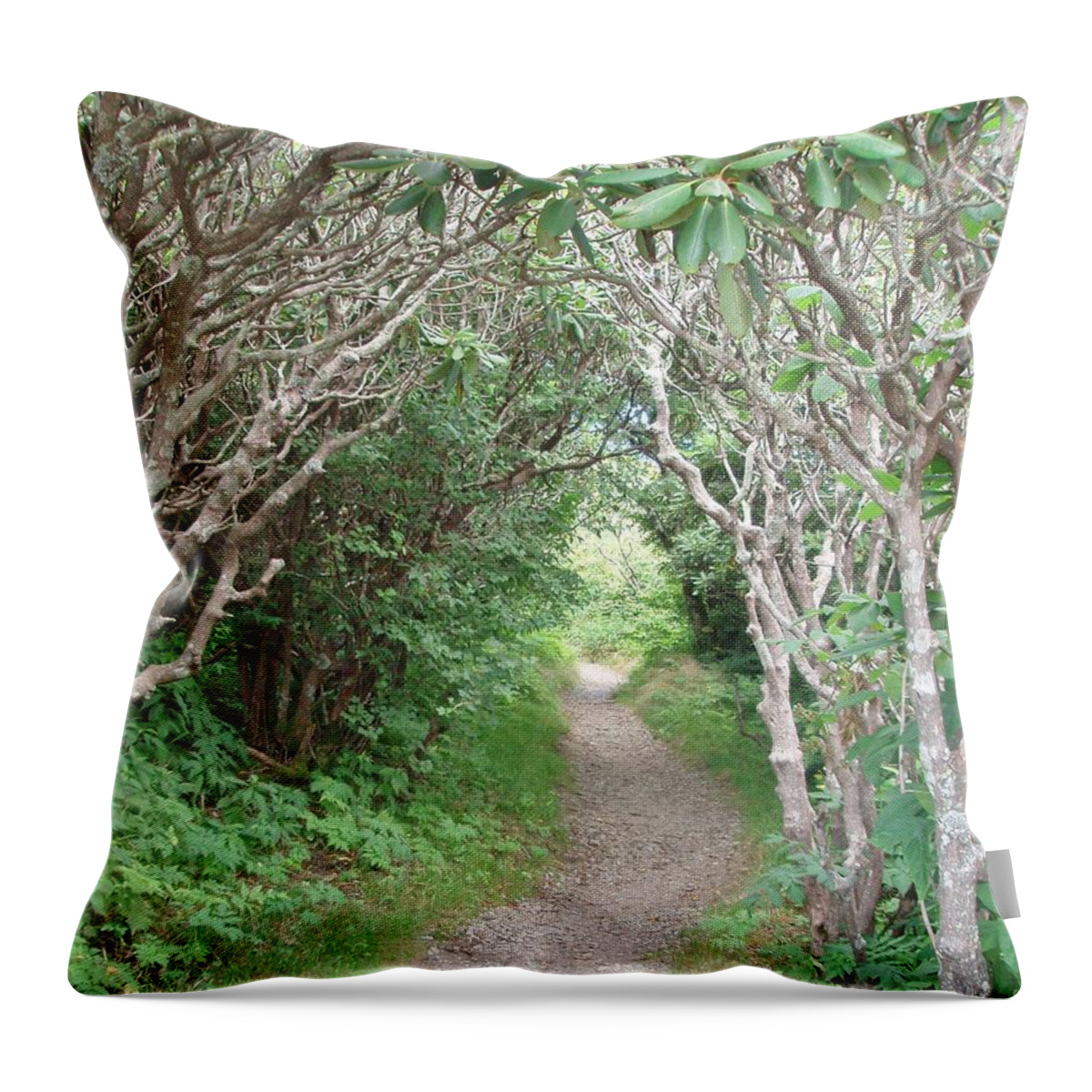 Path Throw Pillow featuring the photograph There is a Path by Allen Nice-Webb