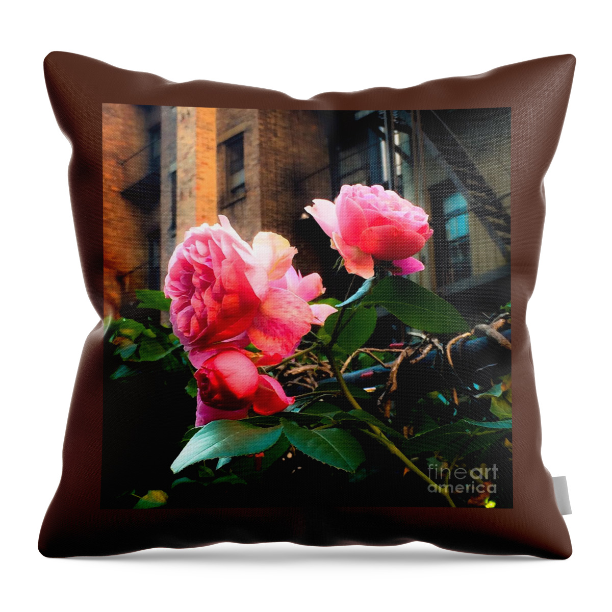 Rose Throw Pillow featuring the photograph There is a Rose in Spanish Harlem by Miriam Danar