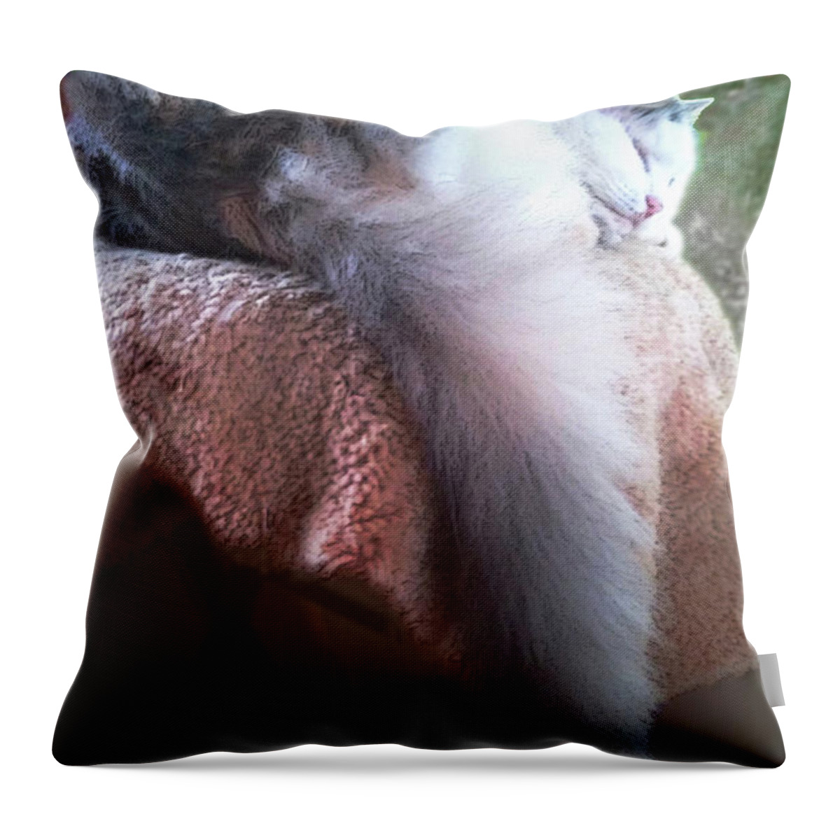 Cat Throw Pillow featuring the photograph Thereby Hangs a Tail by Ginny Schmidt