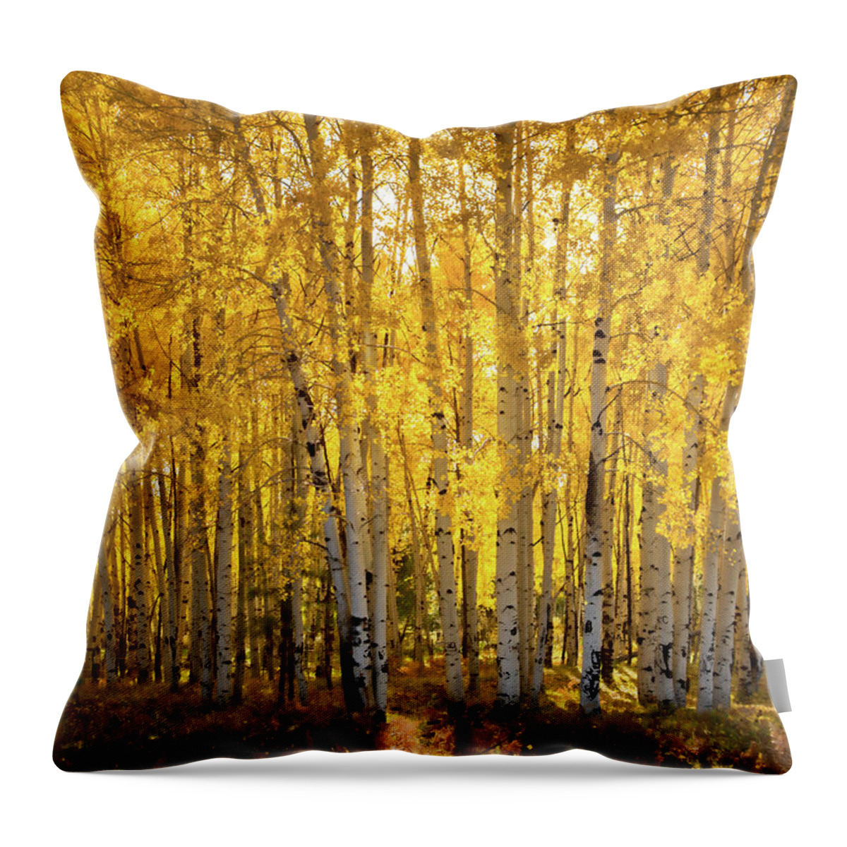 Aspen Grove Throw Pillow featuring the photograph There's Gold In Them Woods by Saija Lehtonen