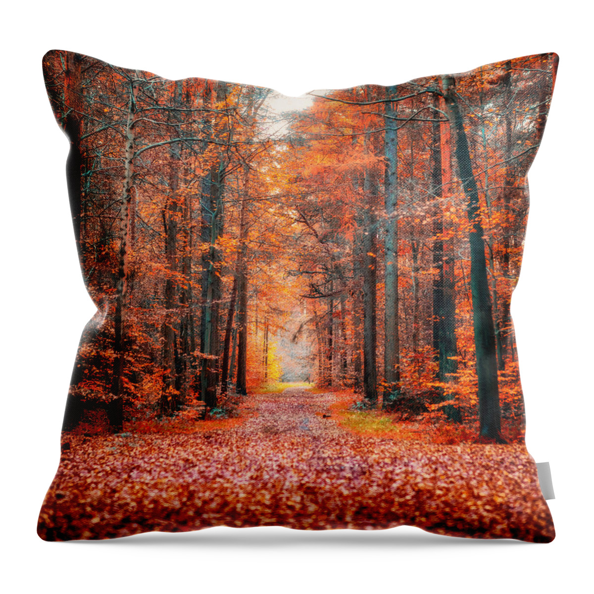 Autumn Throw Pillow featuring the photograph Thetford Forest by James Billings