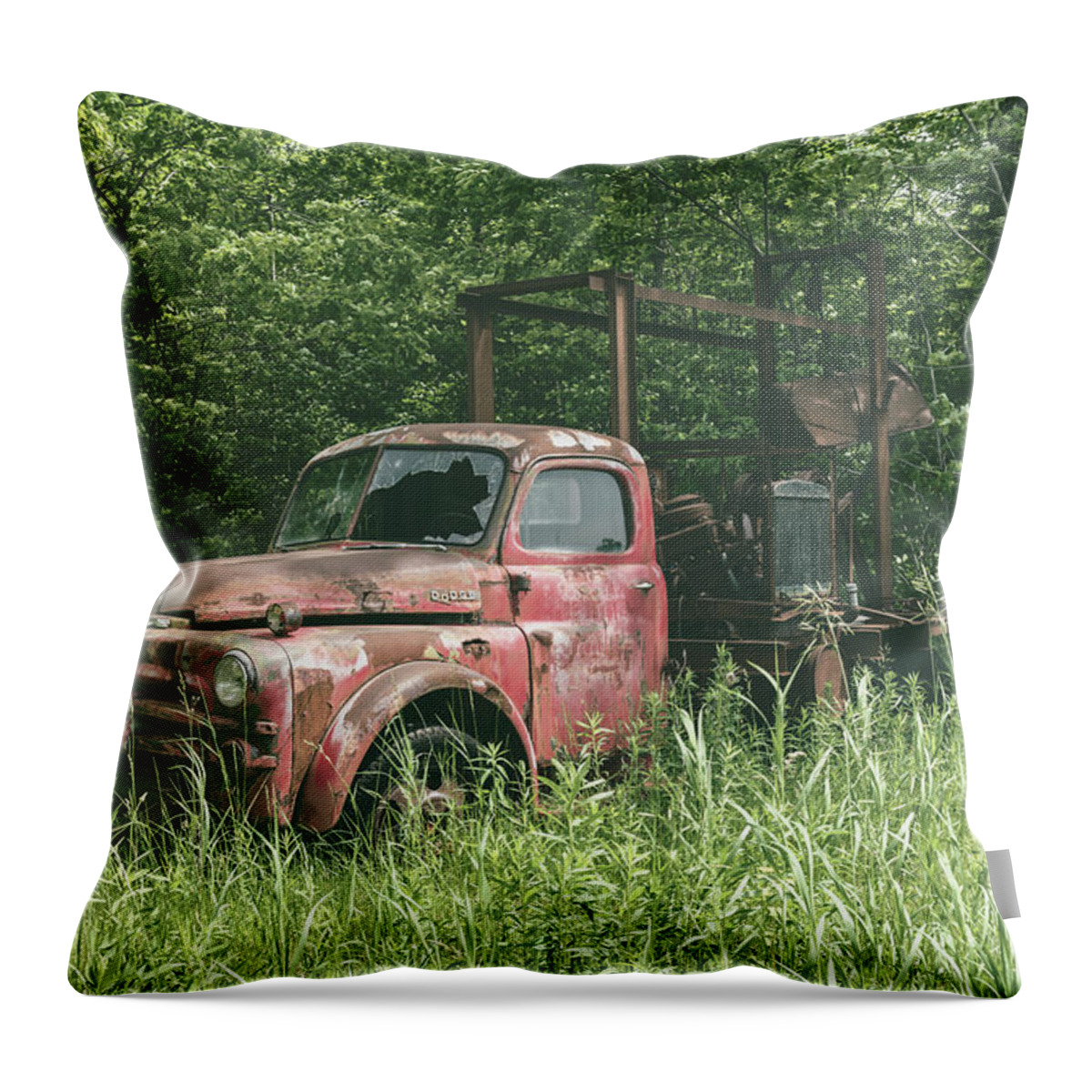 Truck Throw Pillow featuring the photograph They call me Rusty by Steve L'Italien