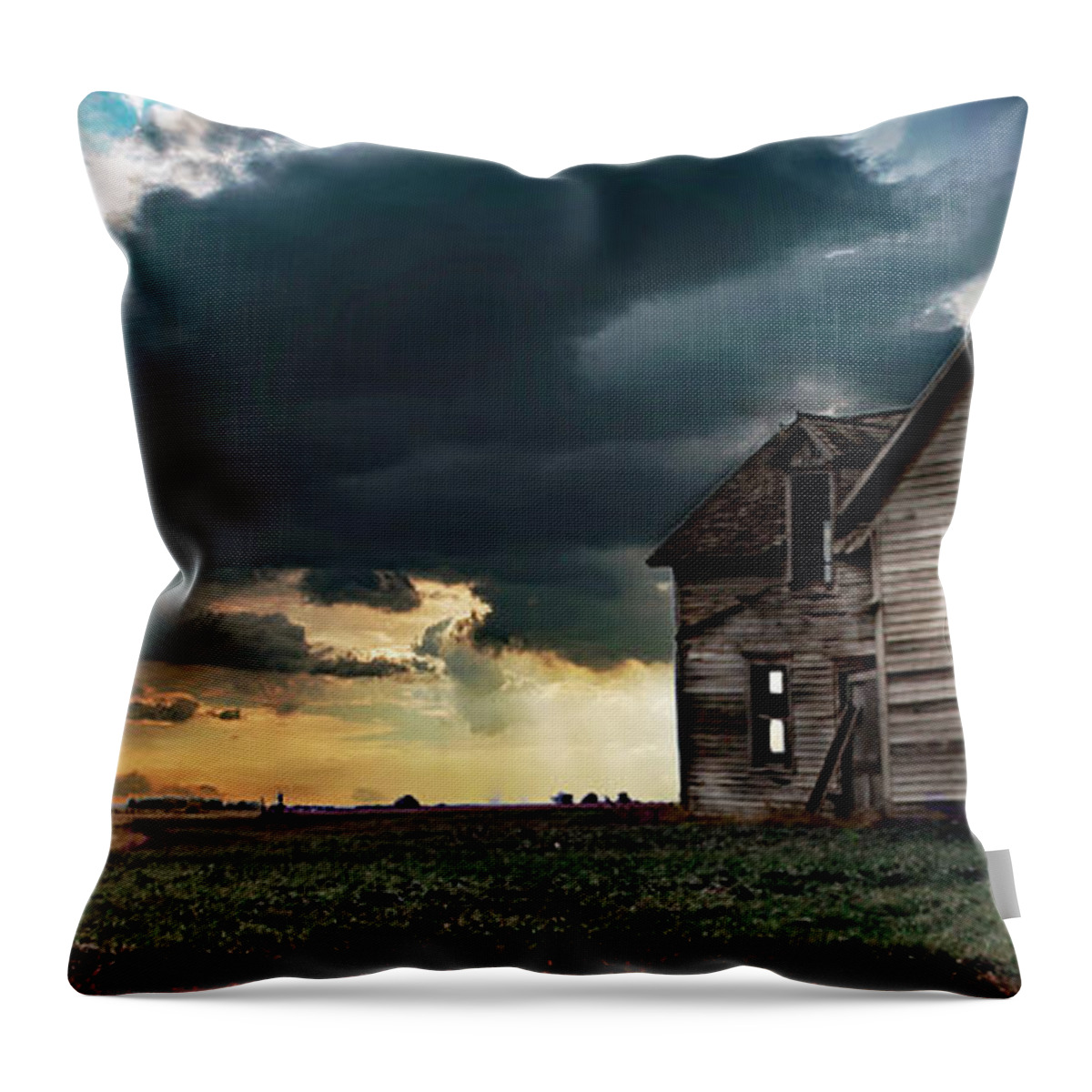 Minnesota Throw Pillow featuring the photograph They're Gone by Hans Brakob