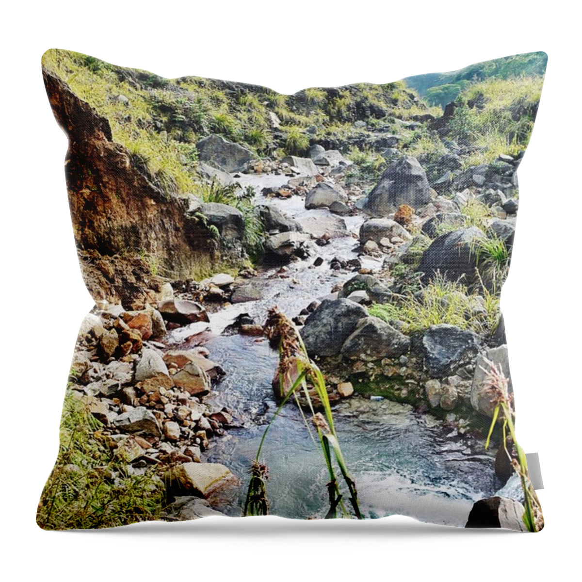 River Throw Pillow featuring the photograph River In Mount Papandayan by Mahargarani Saragih