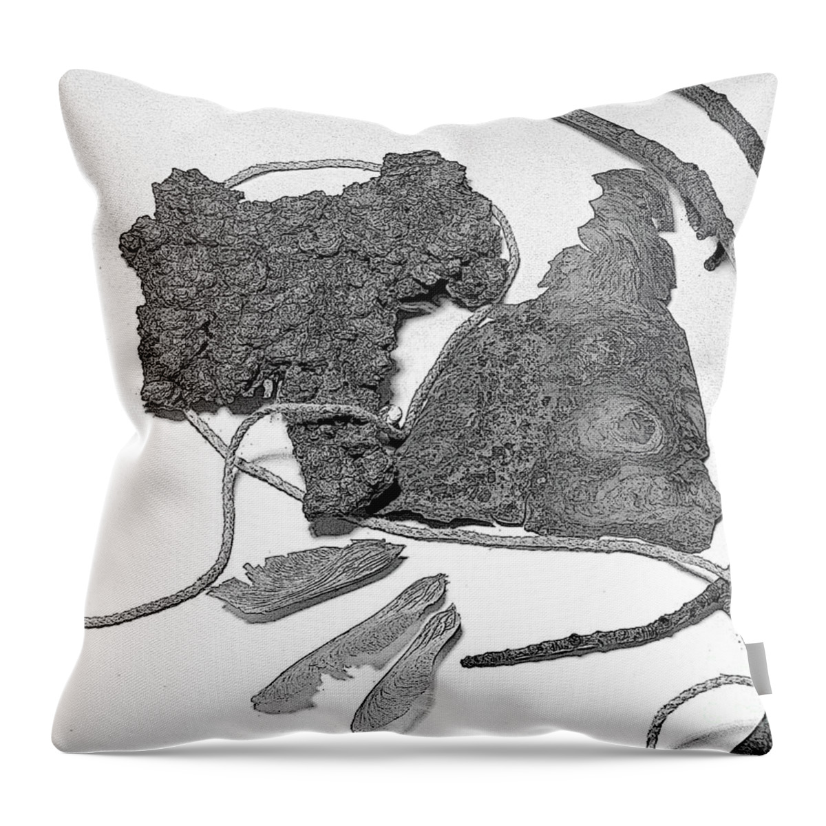 Digitally Altered Black And White Photograph Throw Pillow featuring the photograph Things I Found by Sandra Church