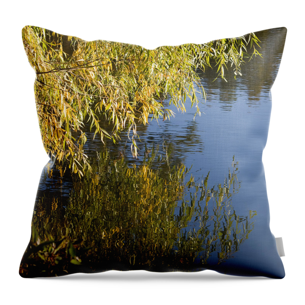 Mears Throw Pillow featuring the photograph Thinking by Tara Lynn