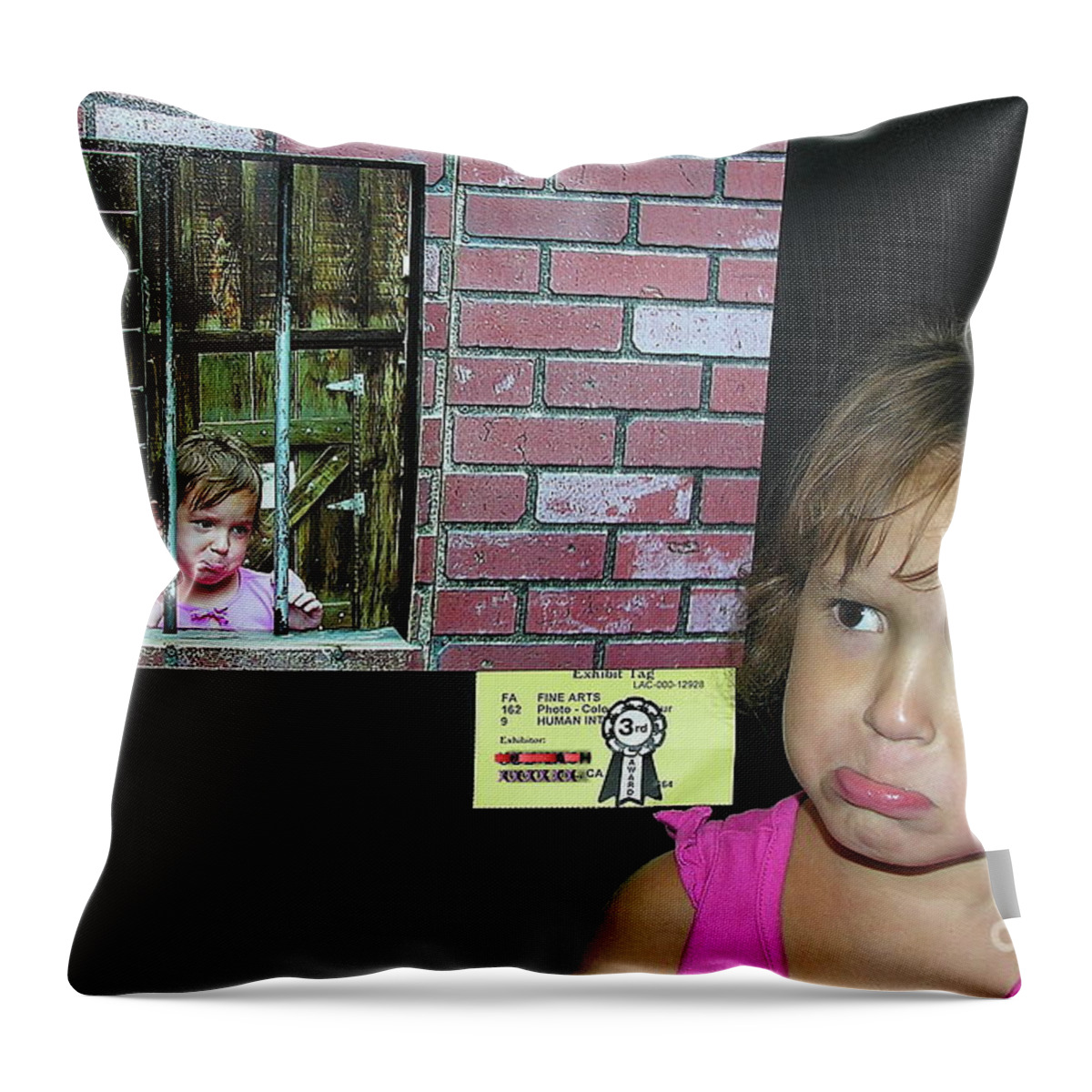 Sad Throw Pillow featuring the photograph Third Place by Joe Lach