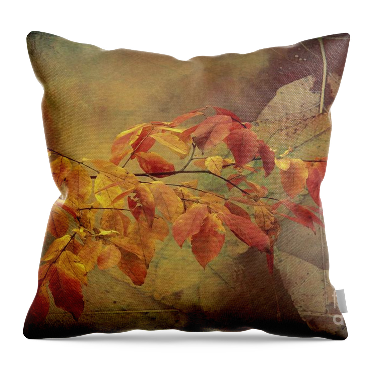 Ash Tree Throw Pillow featuring the photograph This Ash Is On Fire by Rene Crystal