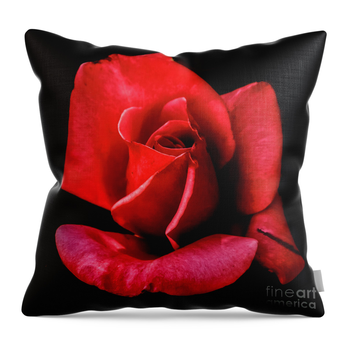 Arizona Throw Pillow featuring the photograph This Bud Is For You by Robert Bales