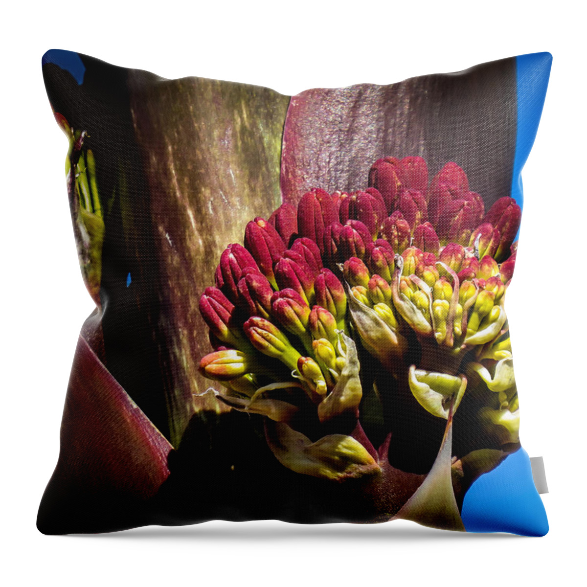 Wildflower Throw Pillow featuring the photograph This Bud's For You by Terry Ann Morris