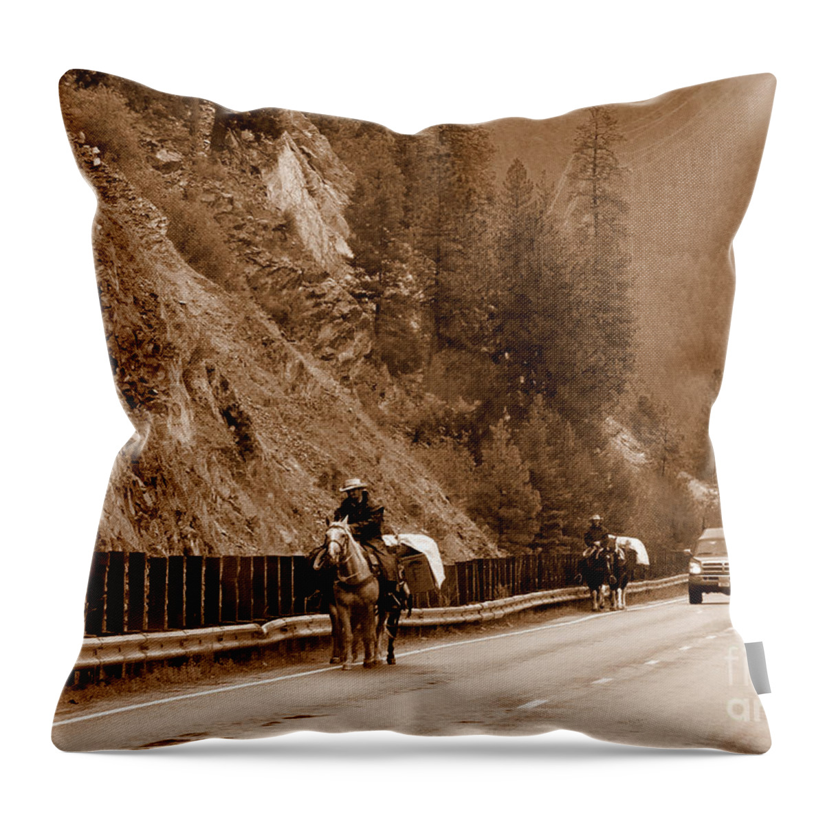 Landscape Throw Pillow featuring the photograph This Is Montana, Baby by Tatyana Searcy