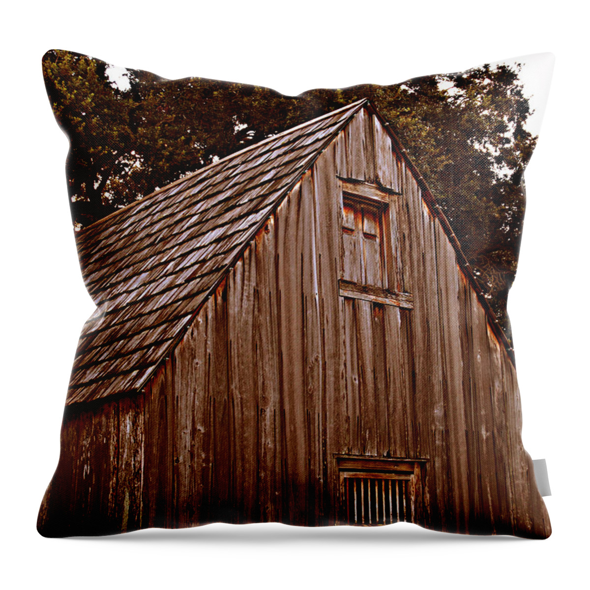 Florida Throw Pillow featuring the photograph This Old House by Bob Johnson