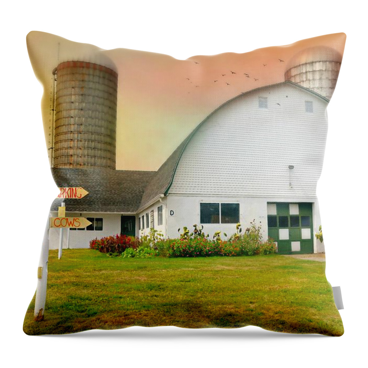 Hilltop Hanover Farm Throw Pillow featuring the photograph This Way That Way by Diana Angstadt