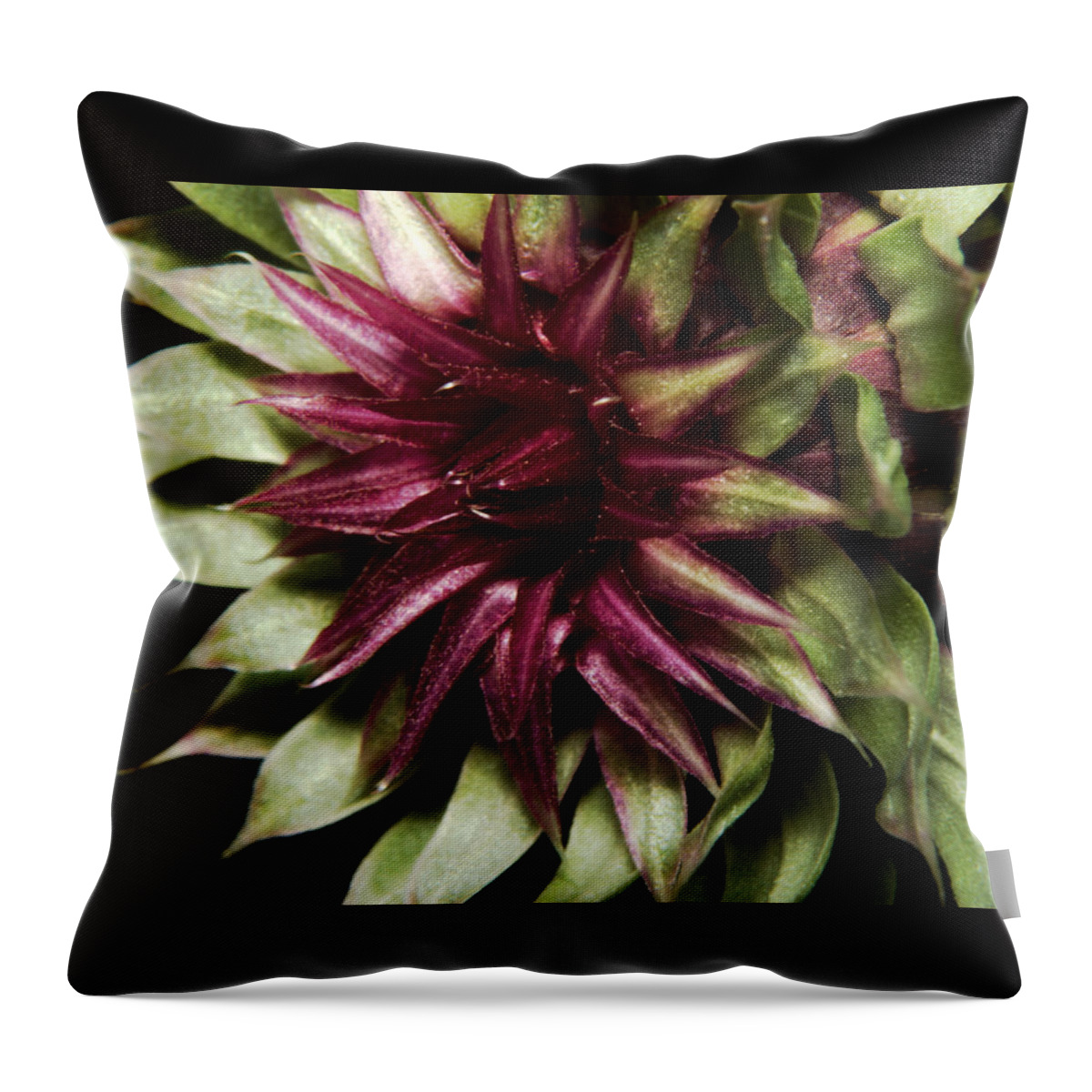 Thistle Throw Pillow featuring the photograph Thistle 01 by Karen Musick