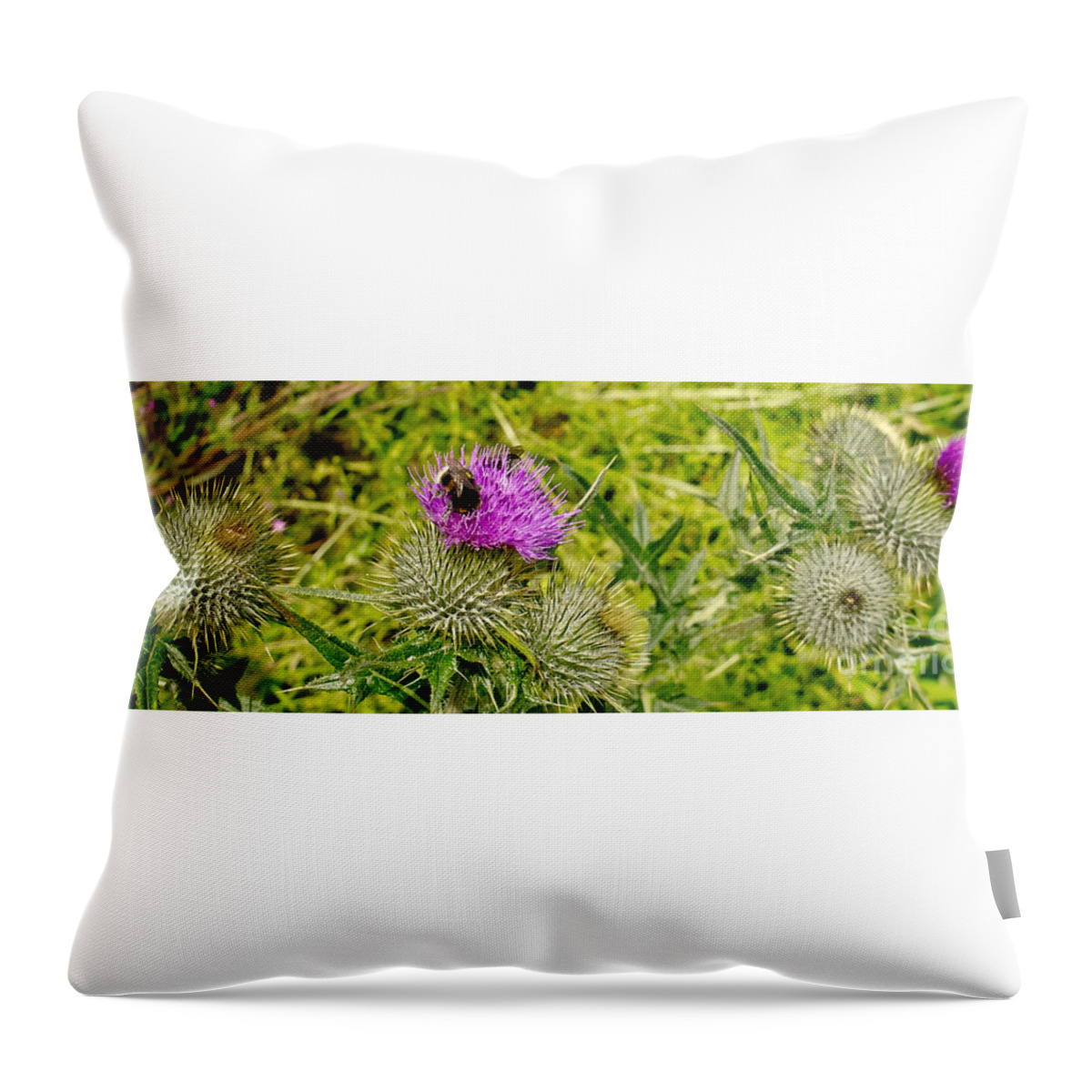 Thistle Throw Pillow featuring the photograph Thistle and Bumblebee. by Elena Perelman