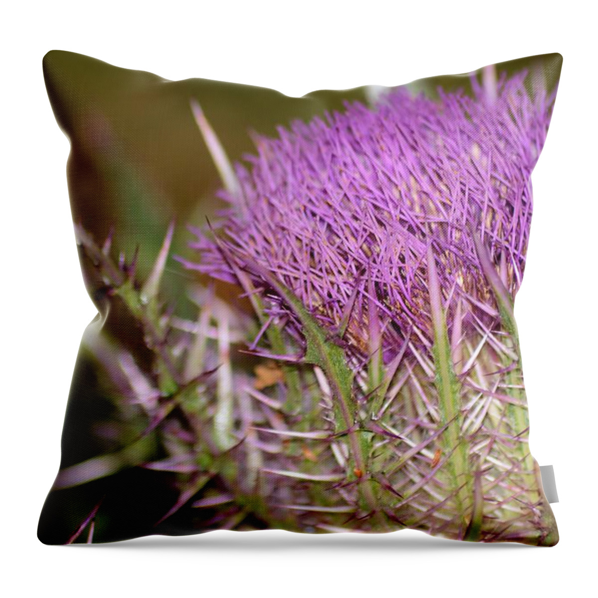 Thistle And Thorns Throw Pillow featuring the photograph Thistle and Thorns by Warren Thompson