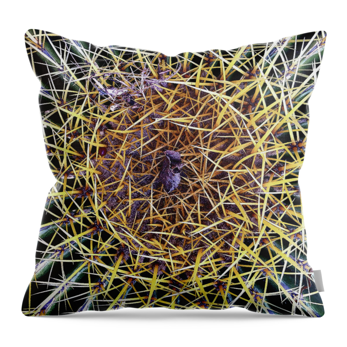 Cactus Throw Pillow featuring the photograph Thorny by Matt Cegelis
