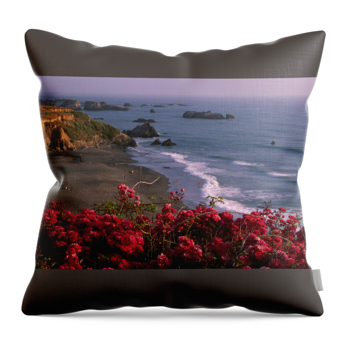 Flowers Throw Pillow featuring the photograph Those North Coast Beaches by Soli Deo Gloria Wilderness And Wildlife Photography