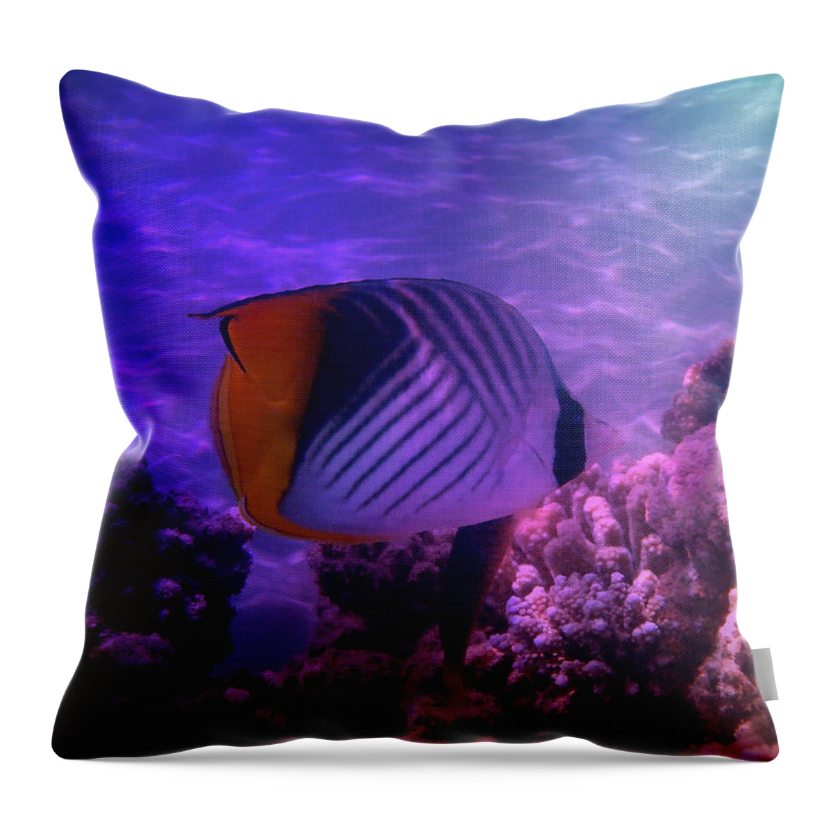 Sealife Throw Pillow featuring the photograph Threadfin Butterflyfish The Creative Way by Johanna Hurmerinta