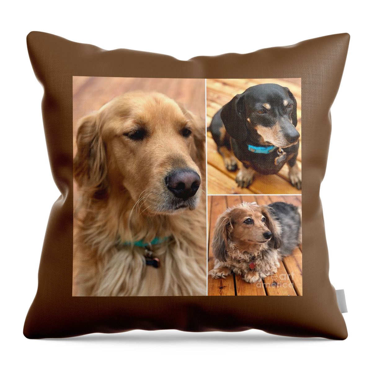 Three Amigos Throw Pillow featuring the photograph Three Amigos by Susan Garren