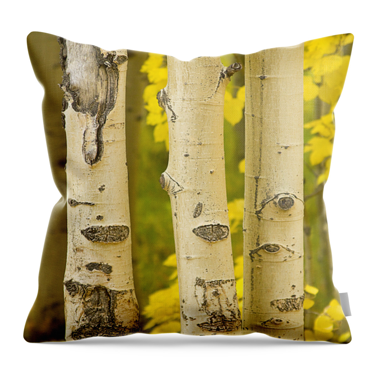 Autumn Throw Pillow featuring the photograph Three Autumn Aspens by James BO Insogna