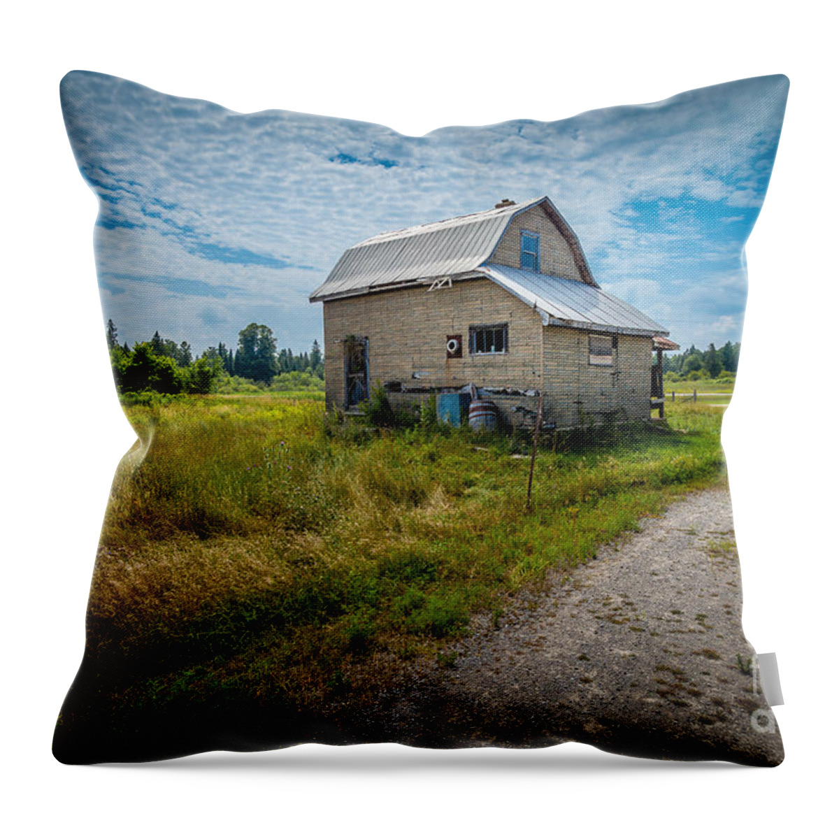 Abandoned Throw Pillow featuring the photograph Three Bachelors by Roger Monahan