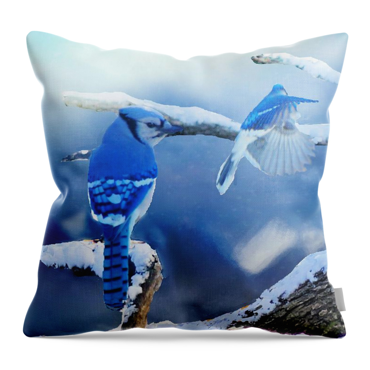 Bluejay Throw Pillow featuring the photograph Three Bluejays in Winter by Janette Boyd