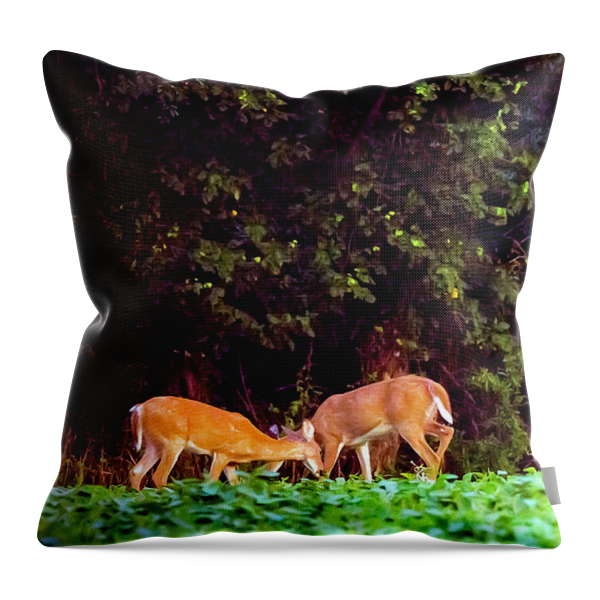 2d Throw Pillow featuring the photograph Three Doe by Brian Wallace