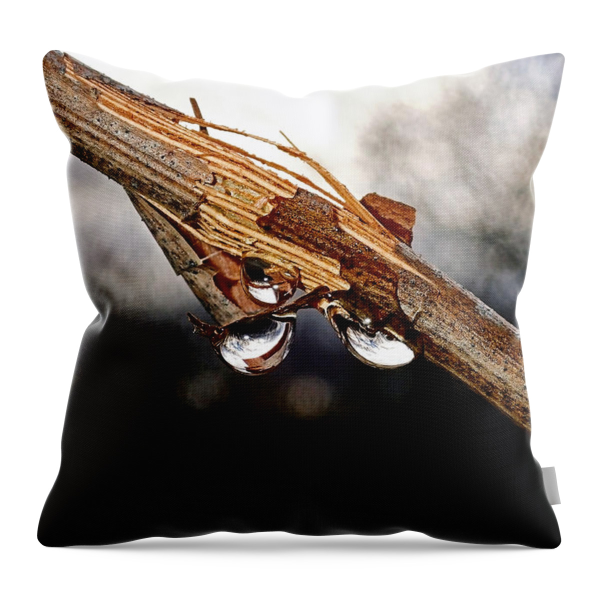 Three Drops Of Water Throw Pillow featuring the photograph Three drops of water, sources of life by Asbed Iskedjian