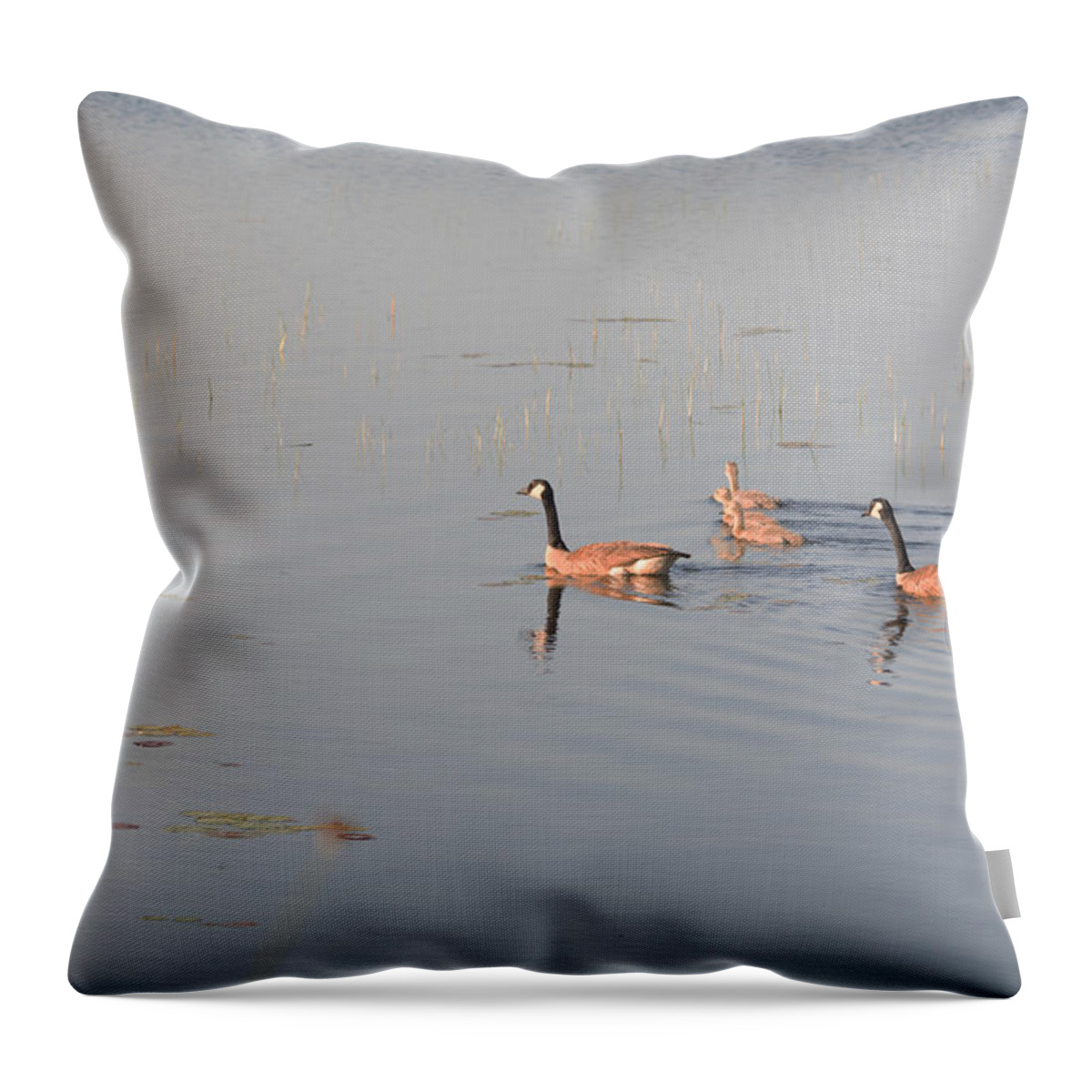 Canadian Geese Throw Pillow featuring the photograph Three Gosings by Linda Kerkau