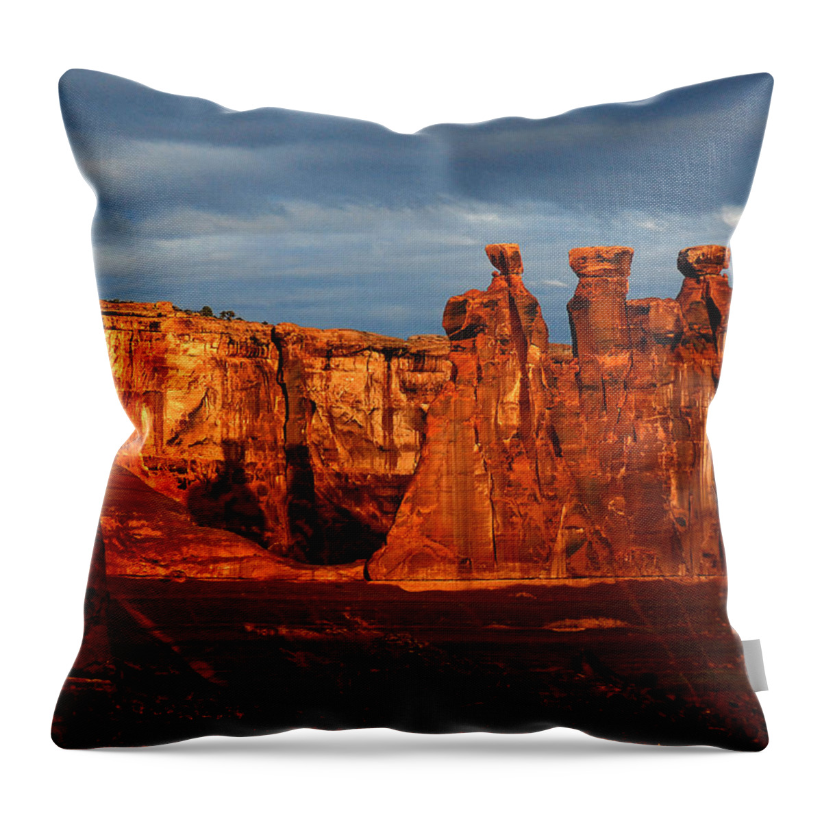 Three Gossips Throw Pillow featuring the photograph Three Gossips by Harry Spitz