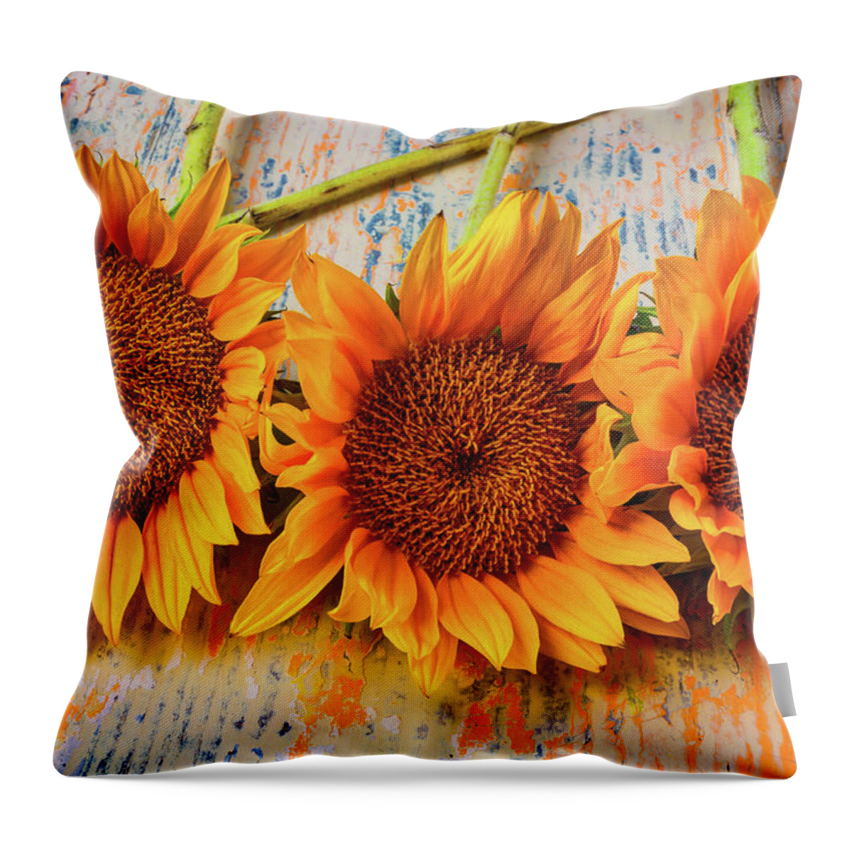 Mood Throw Pillow featuring the photograph Three Graphic Sunflowers by Garry Gay