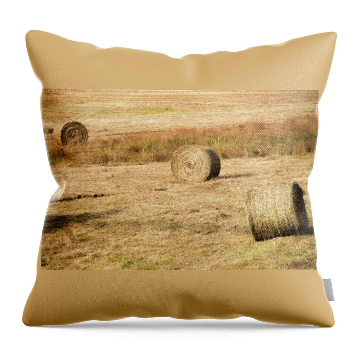 Hay Bales Throw Pillow featuring the photograph Three Hay Balls - by Julie Weber
