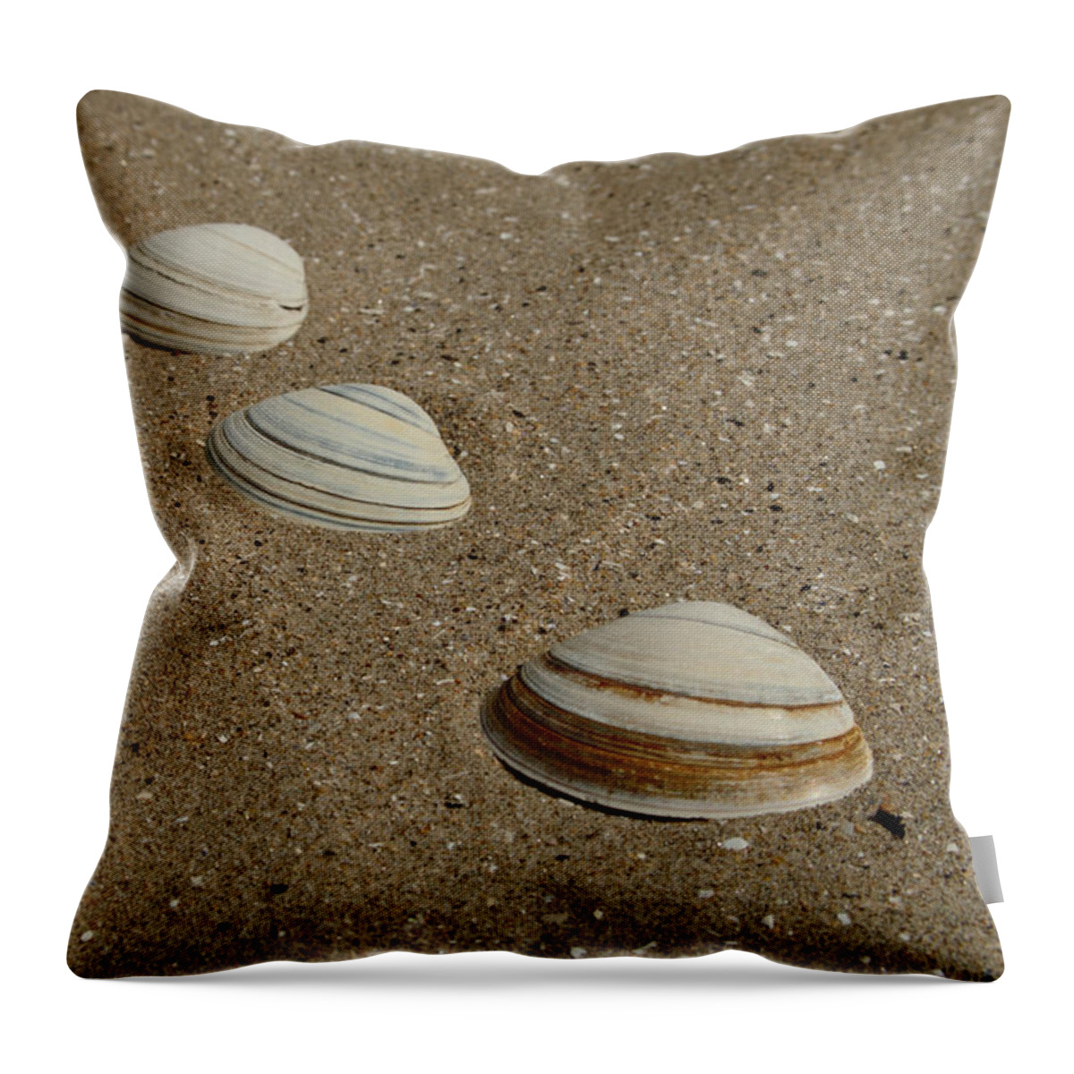 Three Throw Pillow featuring the photograph Three Shells West Sands by Adrian Wale