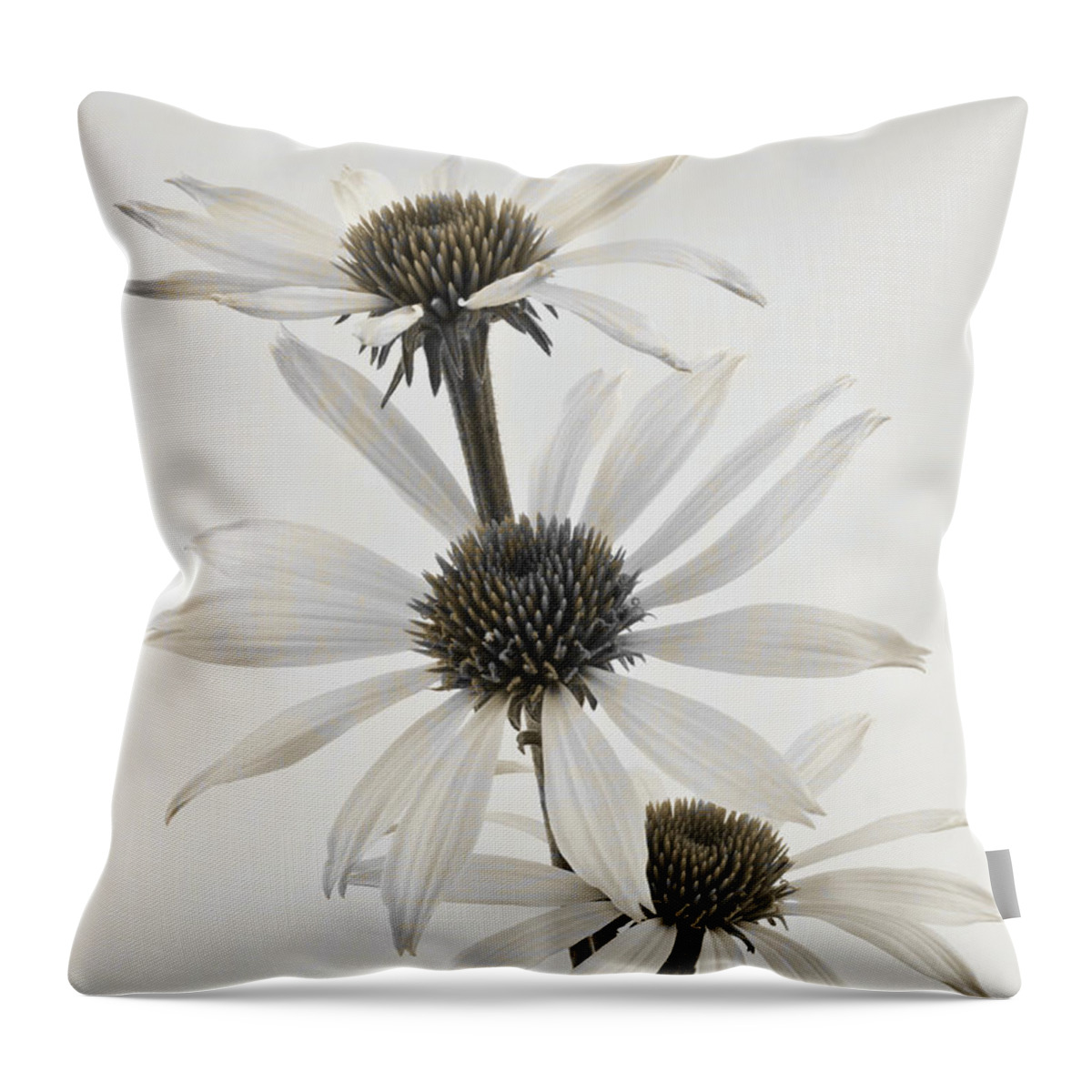 Cone Flowers Throw Pillow featuring the photograph Three White Coneflowers by Sandra Foster
