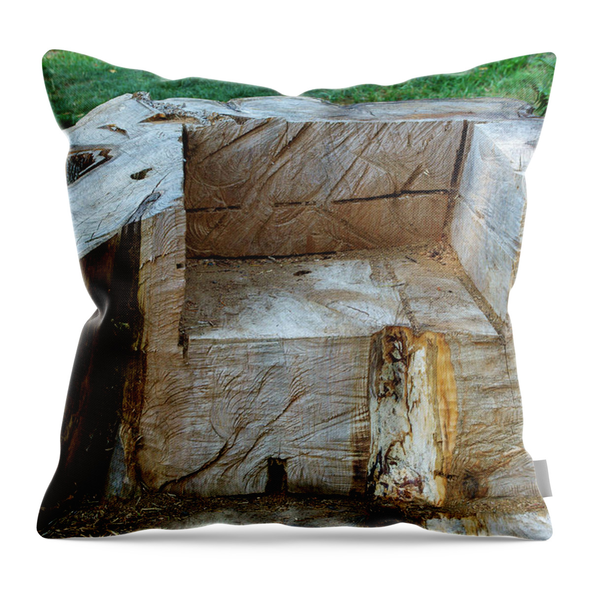 Tree Trunk Throw Pillow featuring the photograph Throne of the Forest King by Tikvah's Hope