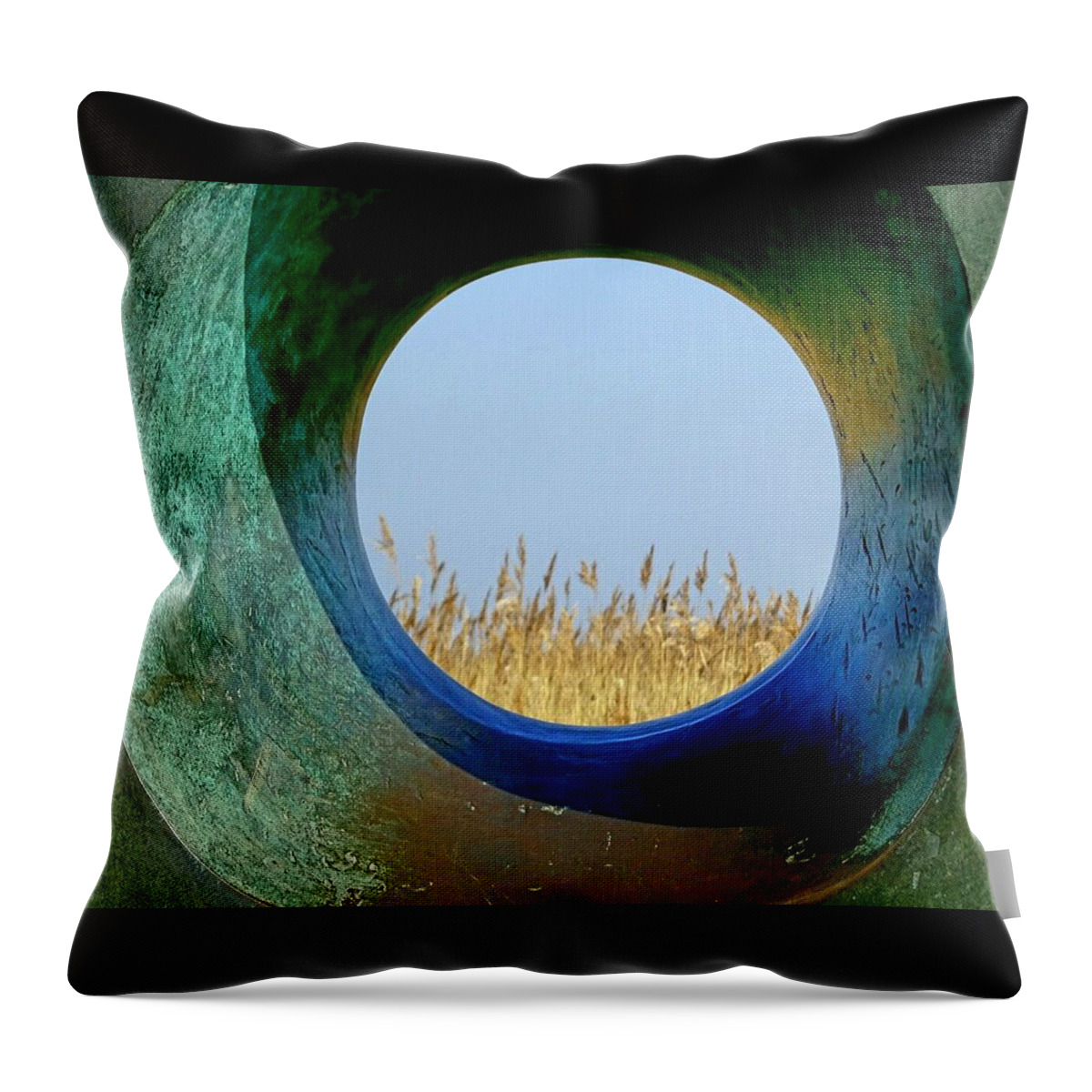 Sculpture Throw Pillow featuring the photograph Through and beyond by Susan Baker