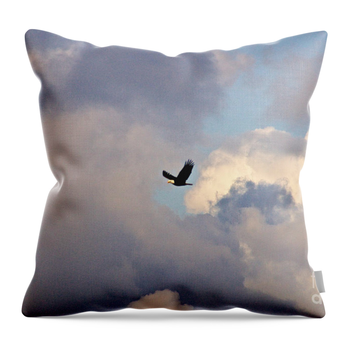 Photography Throw Pillow featuring the photograph Through Stormy Skies by Sean Griffin