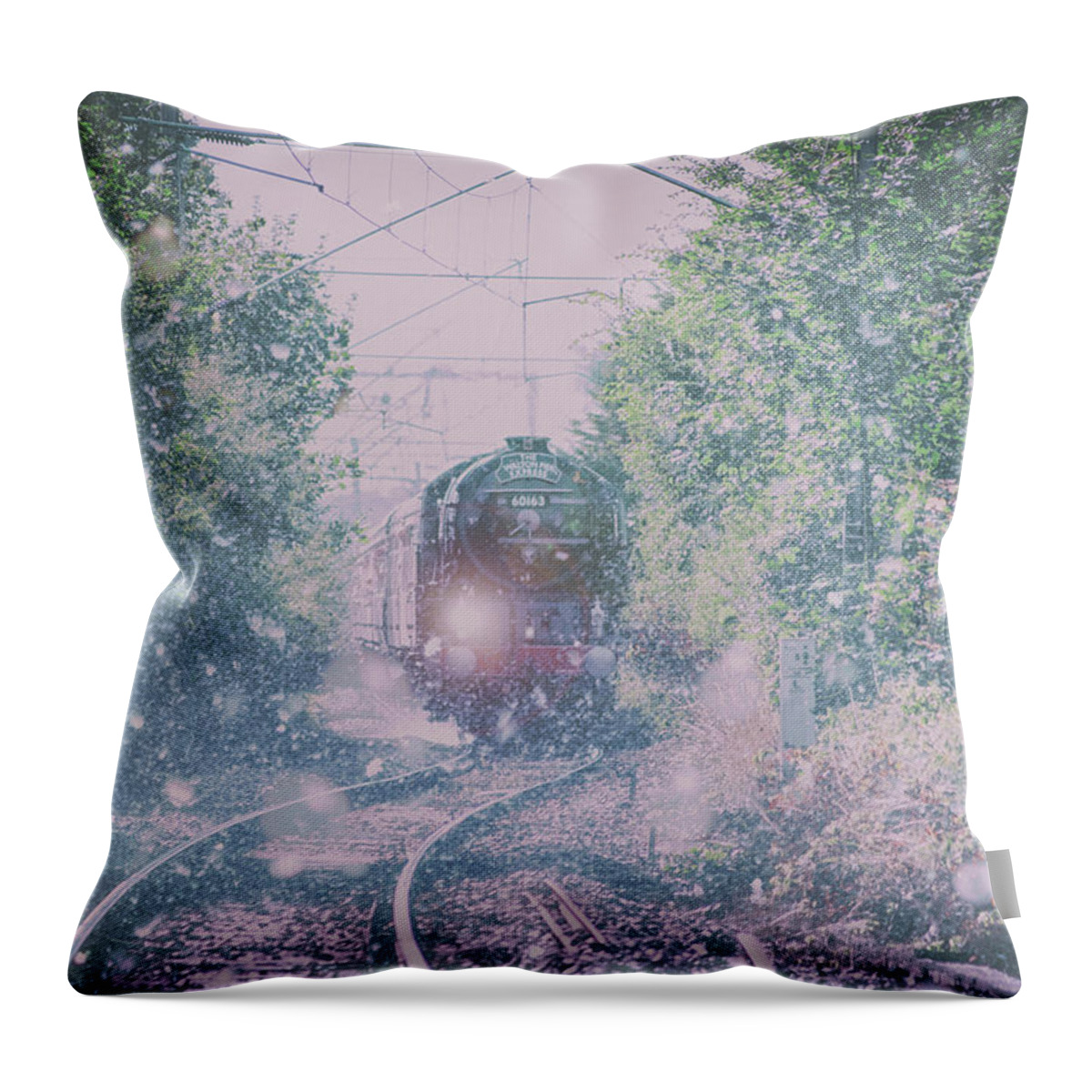Snow Throw Pillow featuring the photograph Through the Blizzard by Martin Newman
