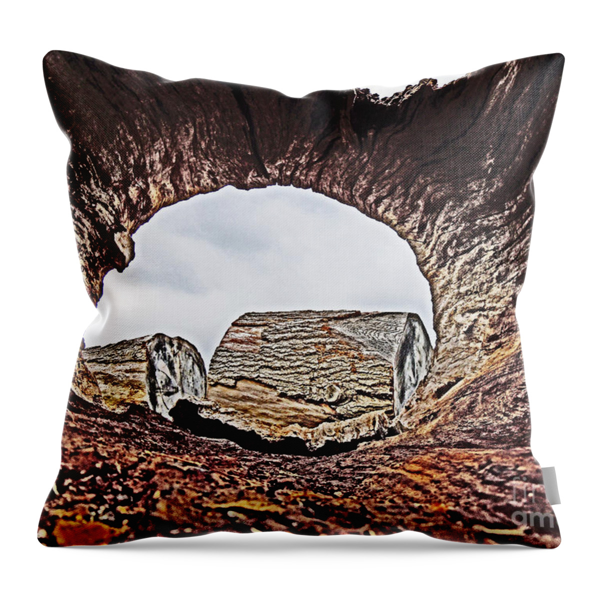  Throw Pillow featuring the photograph Through the Looking Log 2 by David Frederick