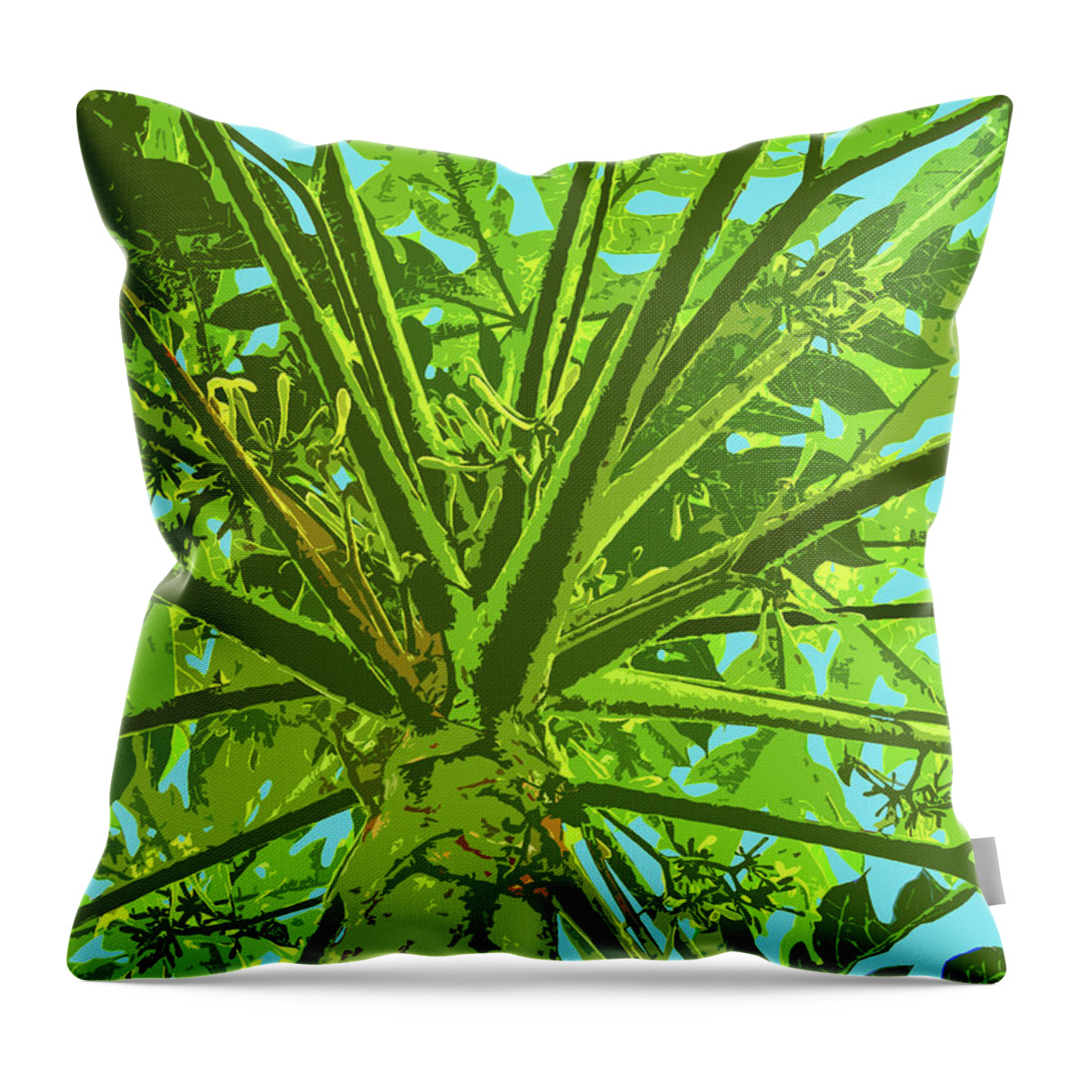 Green Throw Pillow featuring the photograph Through the Trees II by Elizabeth Hoskinson