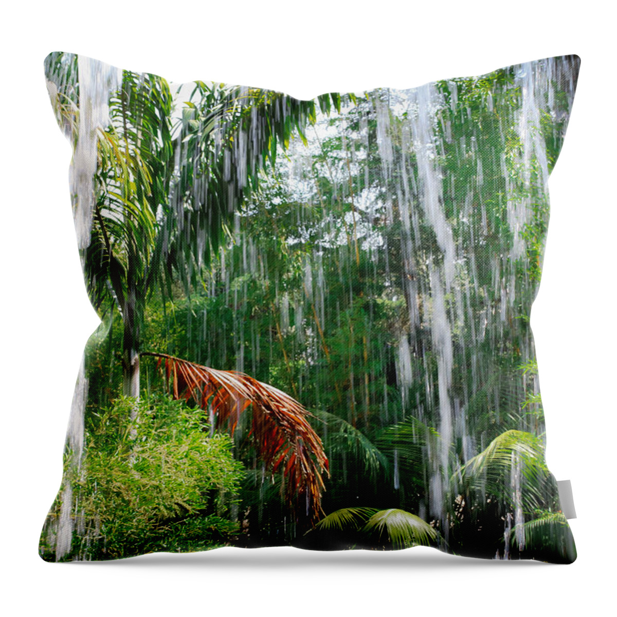 Waterfall Throw Pillow featuring the photograph Through the Waterfall by Alison Frank