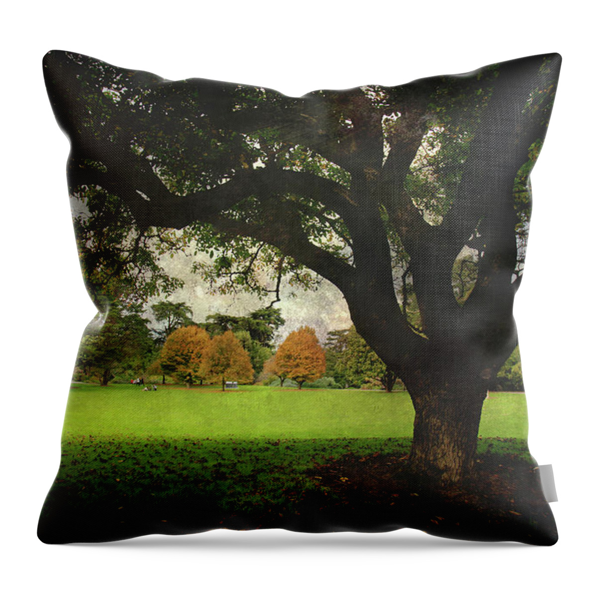 Trees Throw Pillow featuring the photograph Throw Your Arms Around the World by Laurie Search