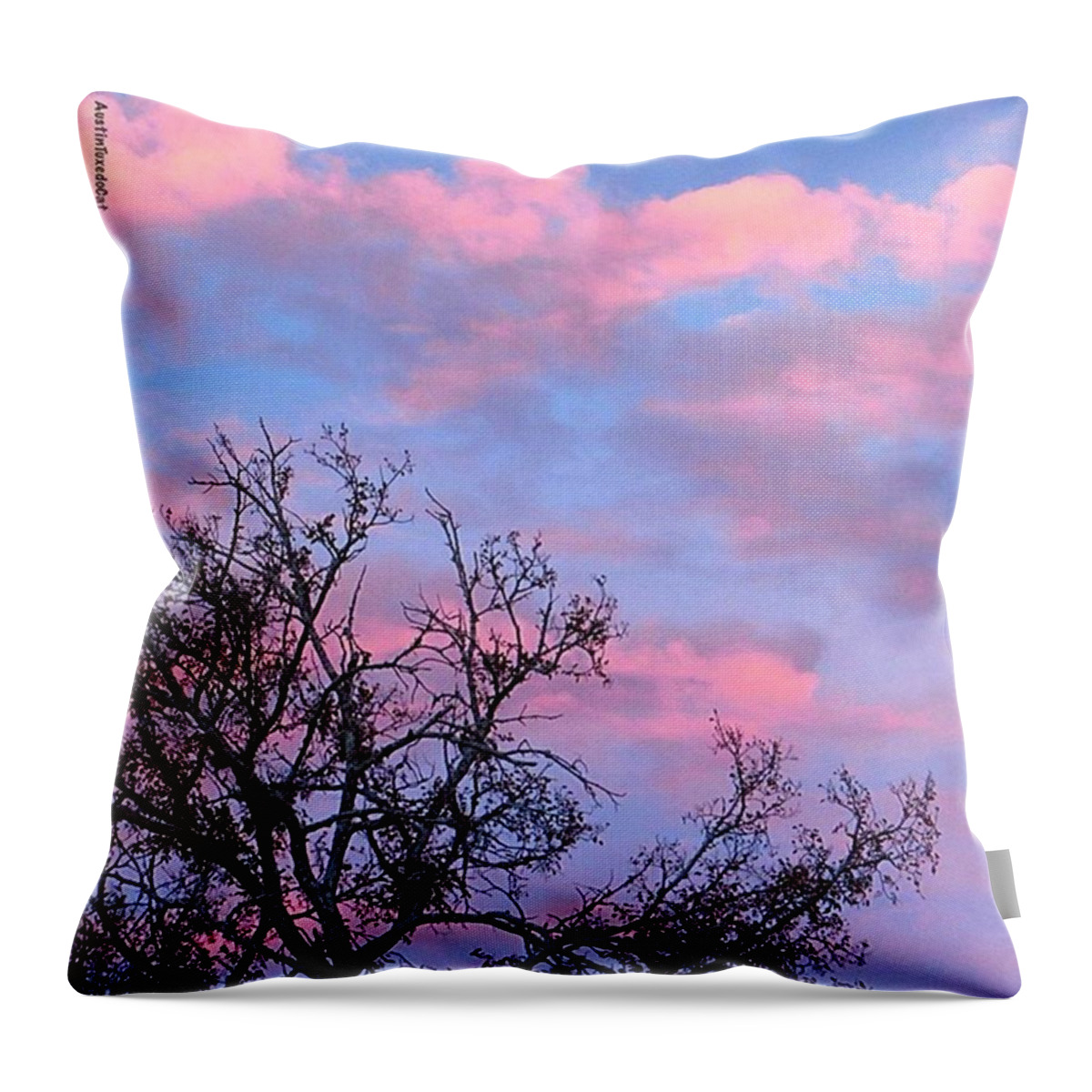 Keepaustinweird Throw Pillow featuring the photograph #throwback To A #instaawesome #pink by Austin Tuxedo Cat