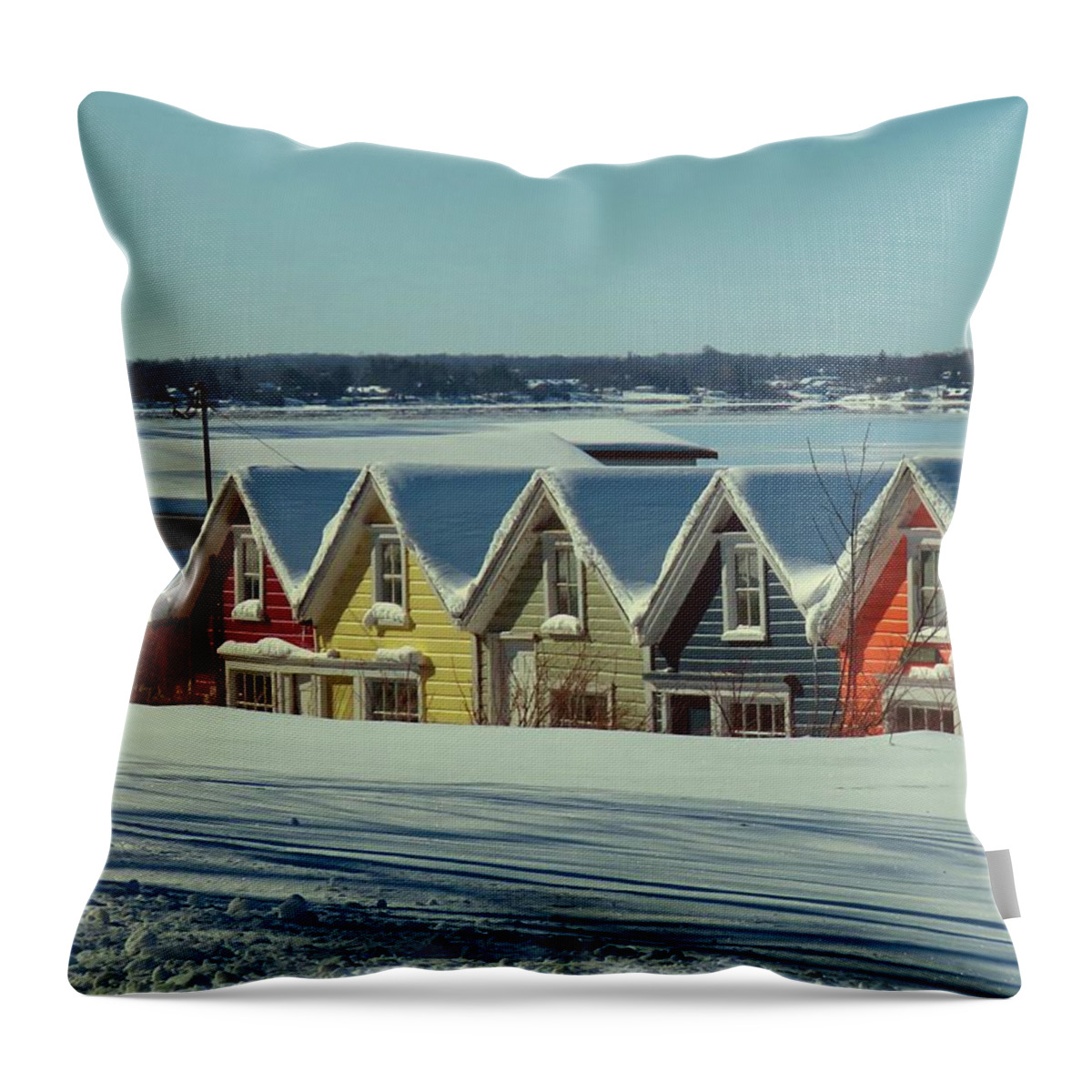 Thousand Islands Throw Pillow featuring the photograph Winter View TI Park Boathouses by Dennis McCarthy