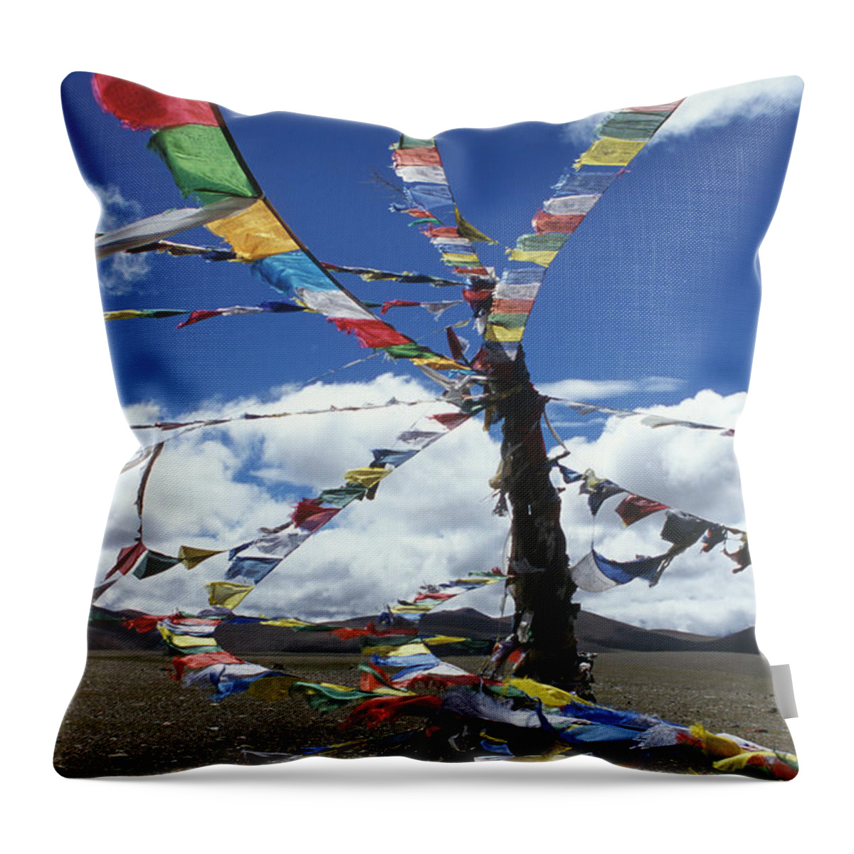 Ancient Civilizations Throw Pillow featuring the photograph Tibet_304-8 by Craig Lovell