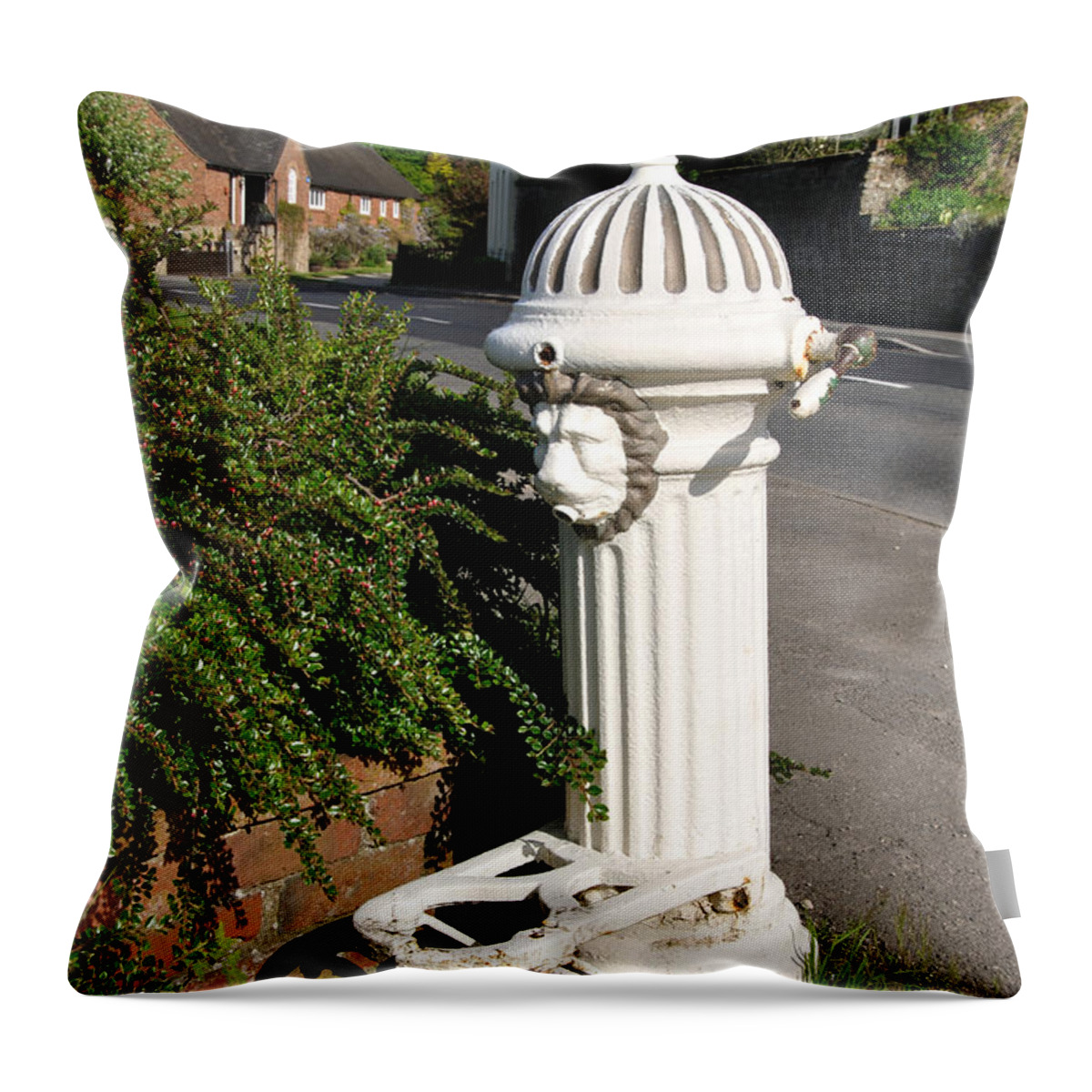 Europe Throw Pillow featuring the photograph Ticknall Village Water Tap by Rod Johnson